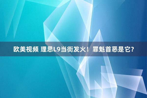 欧美视频 理思L9当街发火！罪魁首恶是它？